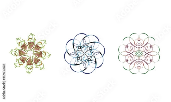 Obraz Vintage rozet Set 30121236