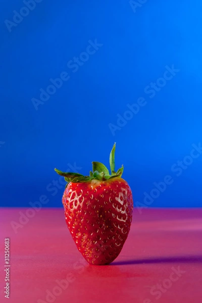 Obraz Strawberry on blue background