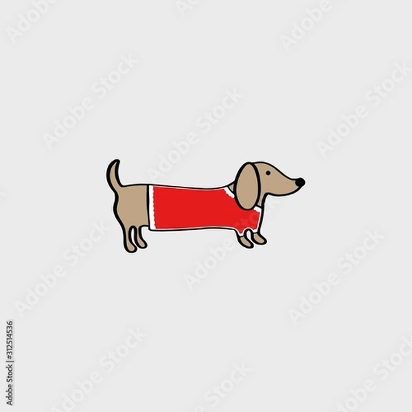 Obraz dachshund in red shirt