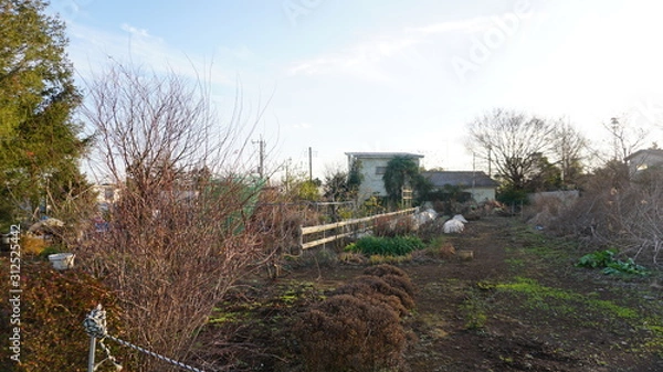 Fototapeta みかいたくのとち