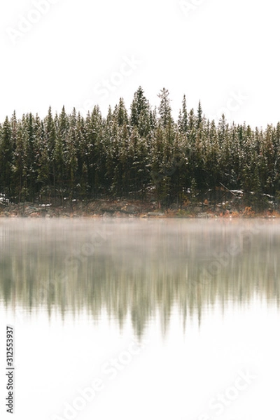 Fototapeta Mirrored reflection of pine trees with fog on the water in Banff, Canada
