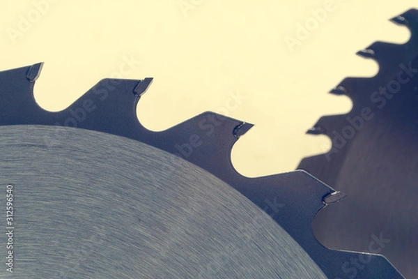 Obraz Wood circular saw blade