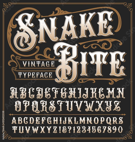 Obraz Snake Bite vintage ozdobny krój z ozdobną ramką
