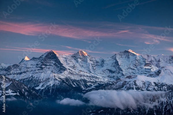 Fototapeta Eiger Mönch and Jungfrau during the blue hour in winter