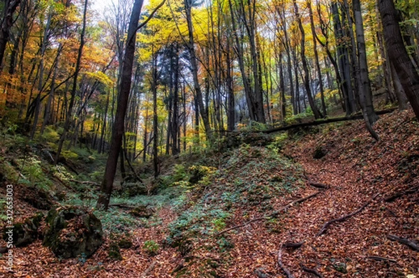 Obraz Ojcowski Park Narodowy