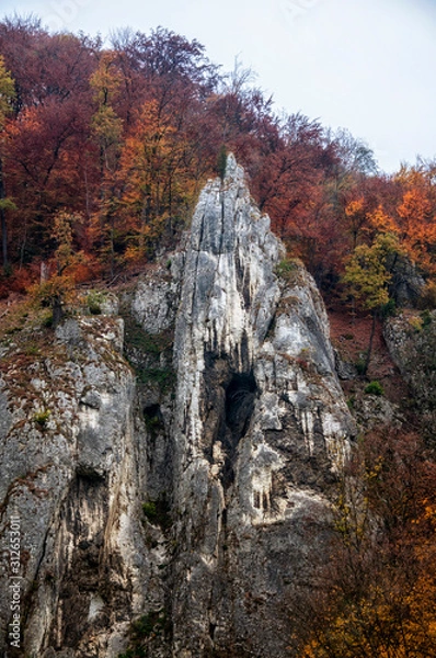 Obraz Ojców Park Narodowy
