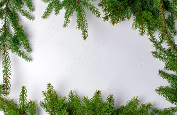 Fototapeta frame of fir branches on a white background. Place for text.