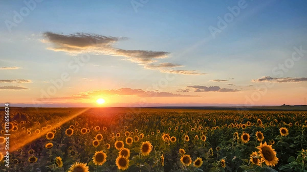 Obraz The Setting Sun