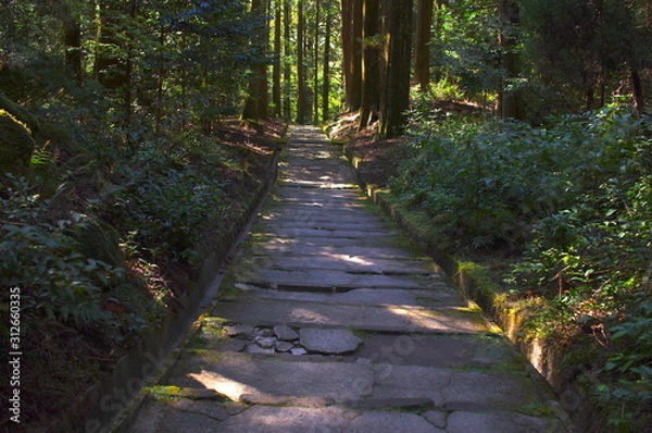 Obraz 森林の中の小道