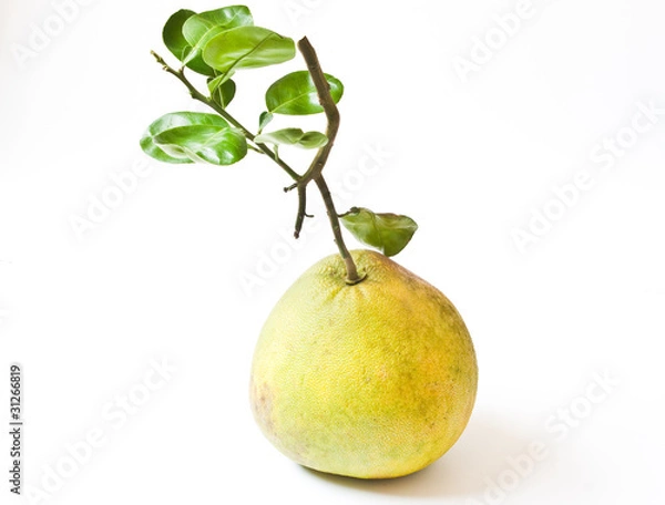 Fototapeta Pomelo fruit with leaves isolated on white background