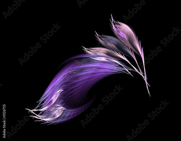Fototapeta violet feathers