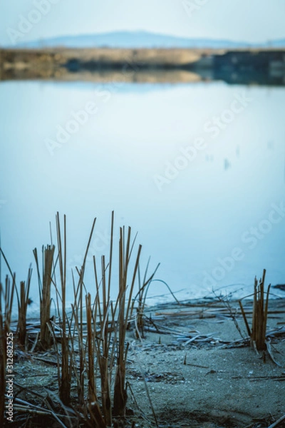 Obraz Abstract grass with blue background