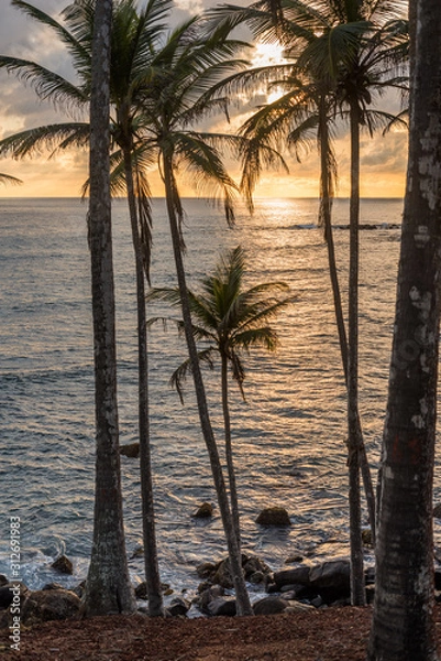 Obraz Sunset over the ocean