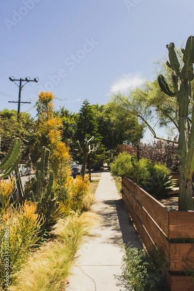 Obraz Los Angeles Sidewalk 2