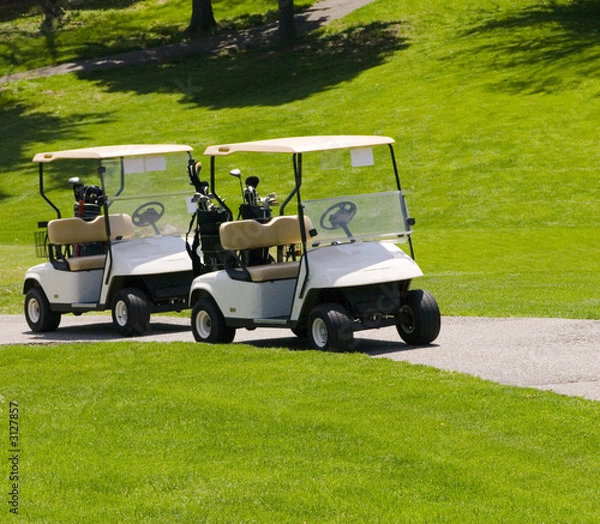 Obraz golf carts