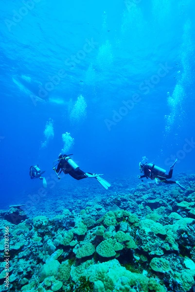 Obraz Drift diving_4