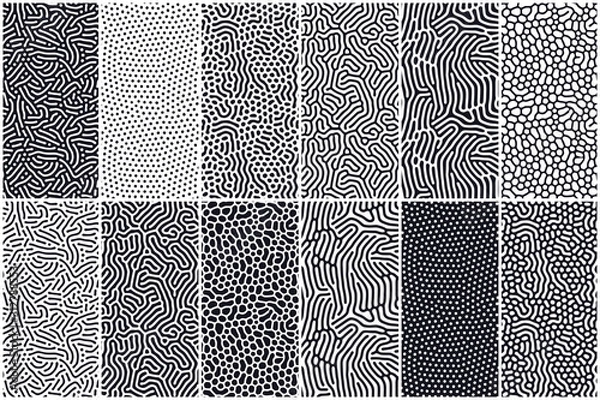 Obraz Zestaw organicznych bez szwu wzorów z zaokrąglonymi liniami, kapie. Tło reakcji dyfuzji. Liniowy projekt z biologicznymi kształtami. Struktura naturalnych komórek, labirynt, koralowiec. Streszczenie ilustracji wektorowych.