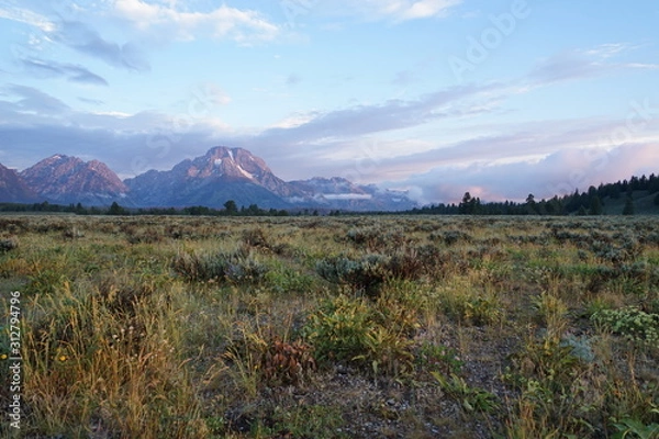 Obraz Mountains and field landscape