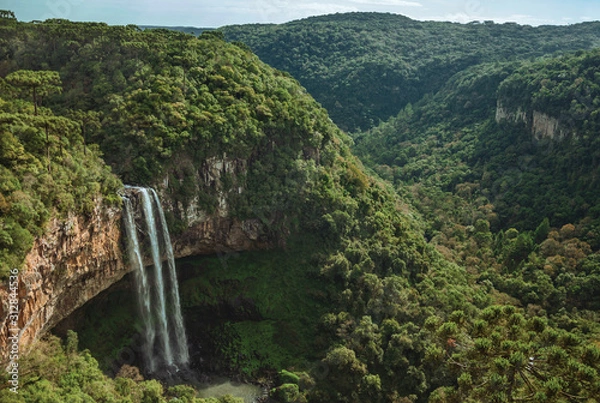 Obraz waterfall falling from a cliff covered by forest