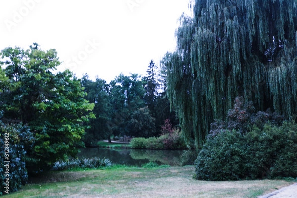 Fototapeta Park w Telc Czechy