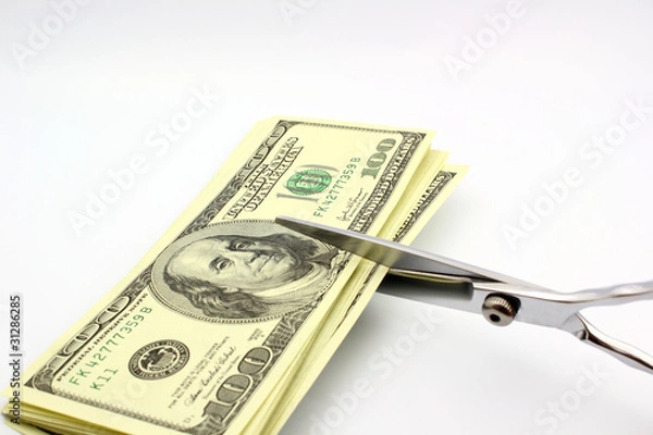 Fototapeta cost cutting