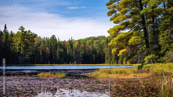Obraz Beaver Pond Trail