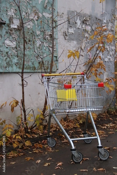 Obraz Корзинка из супермаркета