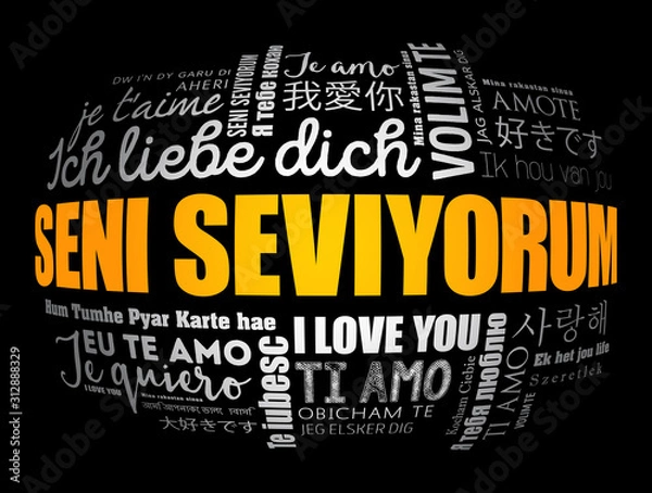 Fototapeta Seni seviyorum (I Love You in Turkish) in different languages of the world