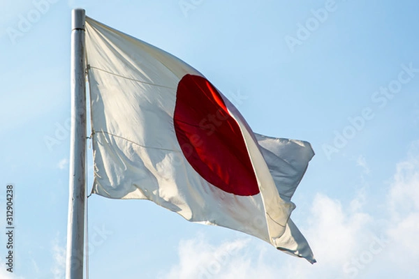 Obraz Japanese Flag  