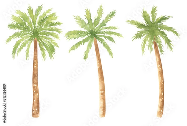 Obraz Watercolor Palm Trees Set