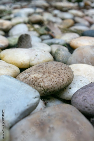 Fototapeta Area paved with stones of many colors. Walking foot comfort Soft to the touch.