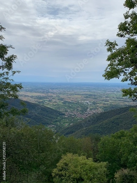 Obraz landscape with trees and blue sky