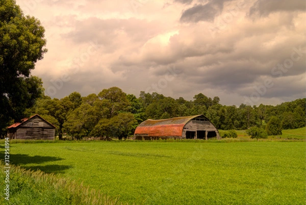 Obraz ibs field and barn
