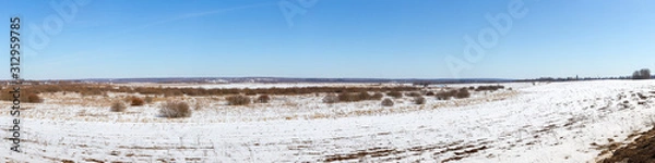 Fototapeta Panorama of a wild field located on the edge of a birch forest. The photo was taken on a Sunny day in early spring. Vladimir region, Russia.