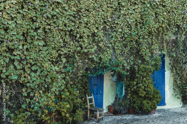 Fototapeta Manto de hojas