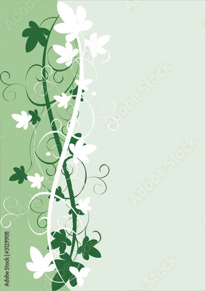 Obraz vine background