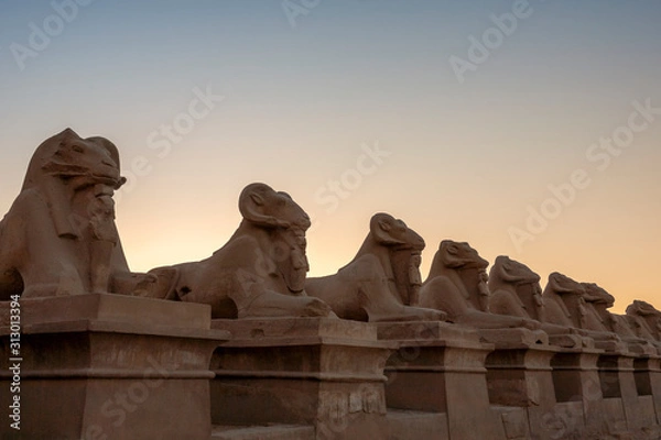Fototapeta Allee der widderköpfigen Sphinxen am Karnak Tempel