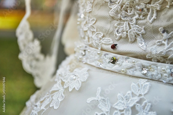 Obraz wedding dress