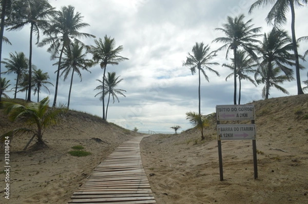 Obraz Sítio do Conde