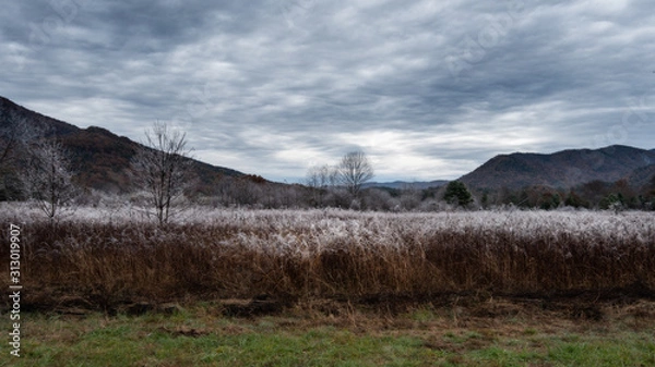 Obraz landscape with mountains