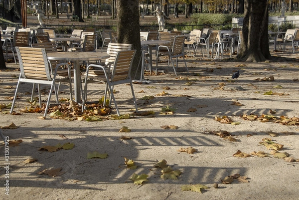 Obraz paris tuileries