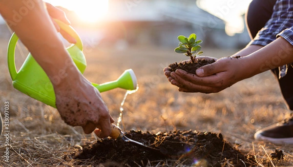Fototapeta Two men are planting trees and watering them to help increase oxygen in the air, Save world save life and Plant a tree concept.