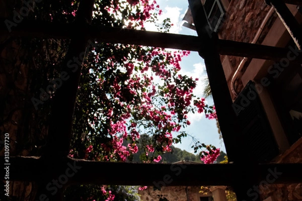 Obraz First Stock Photo Submissions