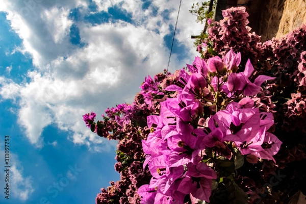 Obraz First Stock Photo Submissions