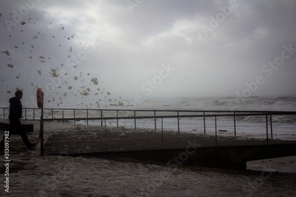 Obraz First Stock Photo Submissions