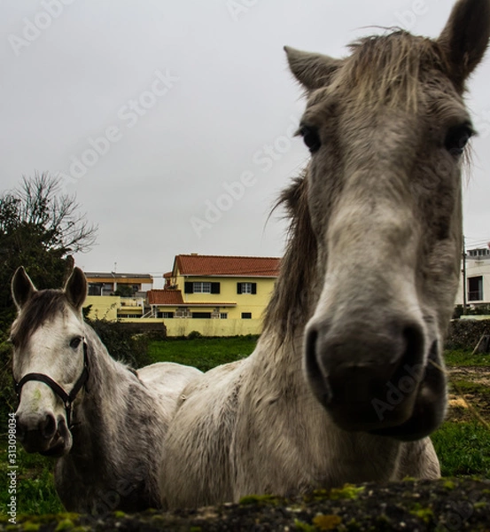 Obraz First Stock Photo Submissions