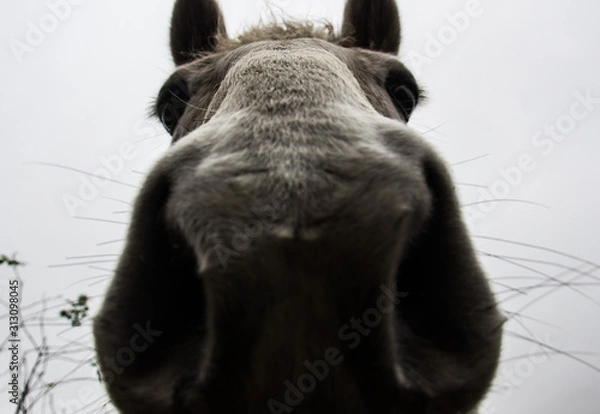 Obraz First Stock Photo Submissions