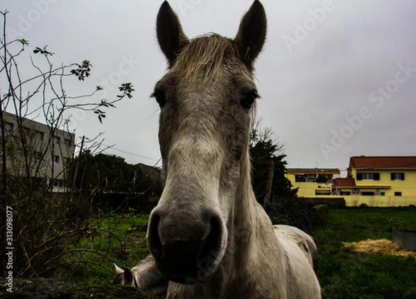 Obraz First Stock Photo Submissions