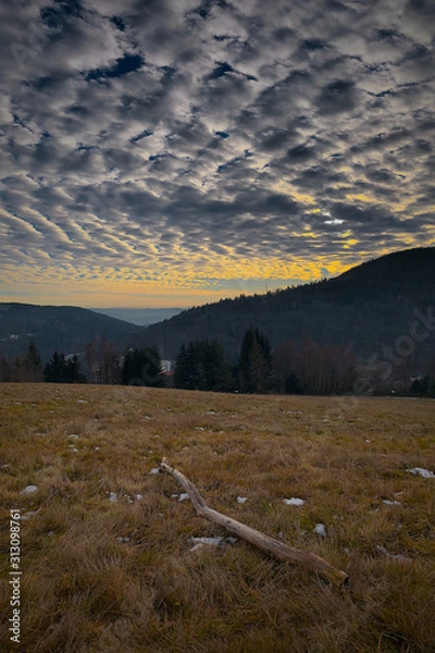 Obraz Knitted clouds in the sky