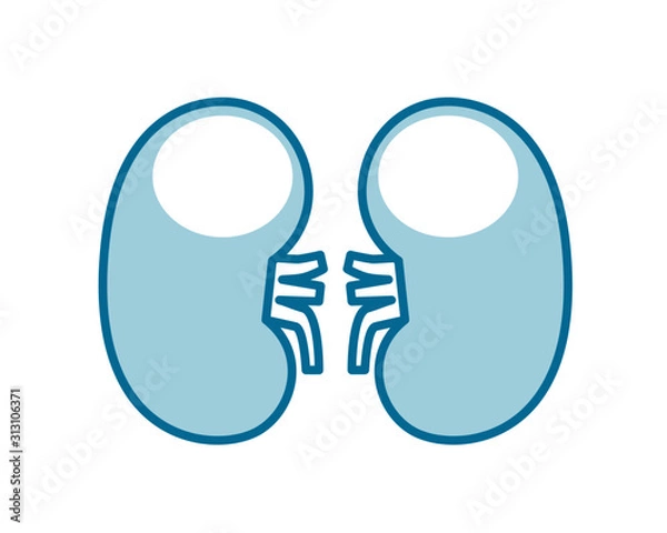 Obraz 人間の内臓のアイコンイラスト